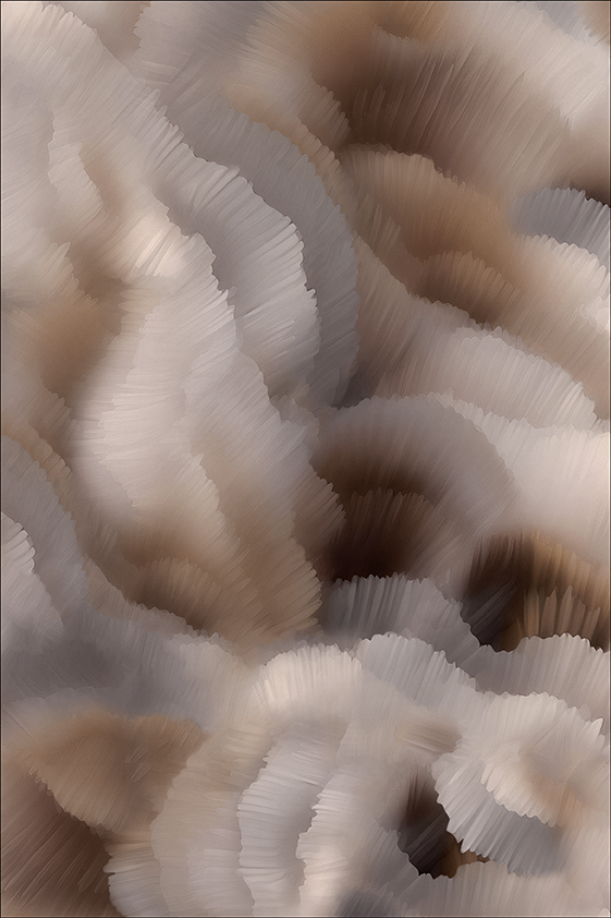 Moooi Carpets Flitter Flutter Malachite