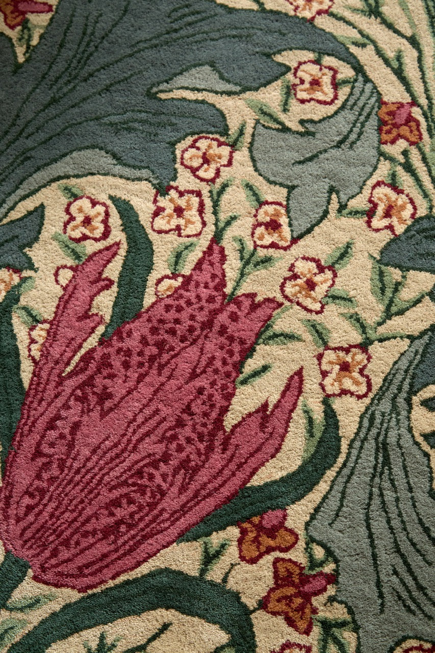 Morris & Co Lent Lily Plum Bayleaf Teppich in Creme mit pflaumenfarbenen Tulpen und lorbeergrünen Blättern, im Wohnraum, dritte Ansicht