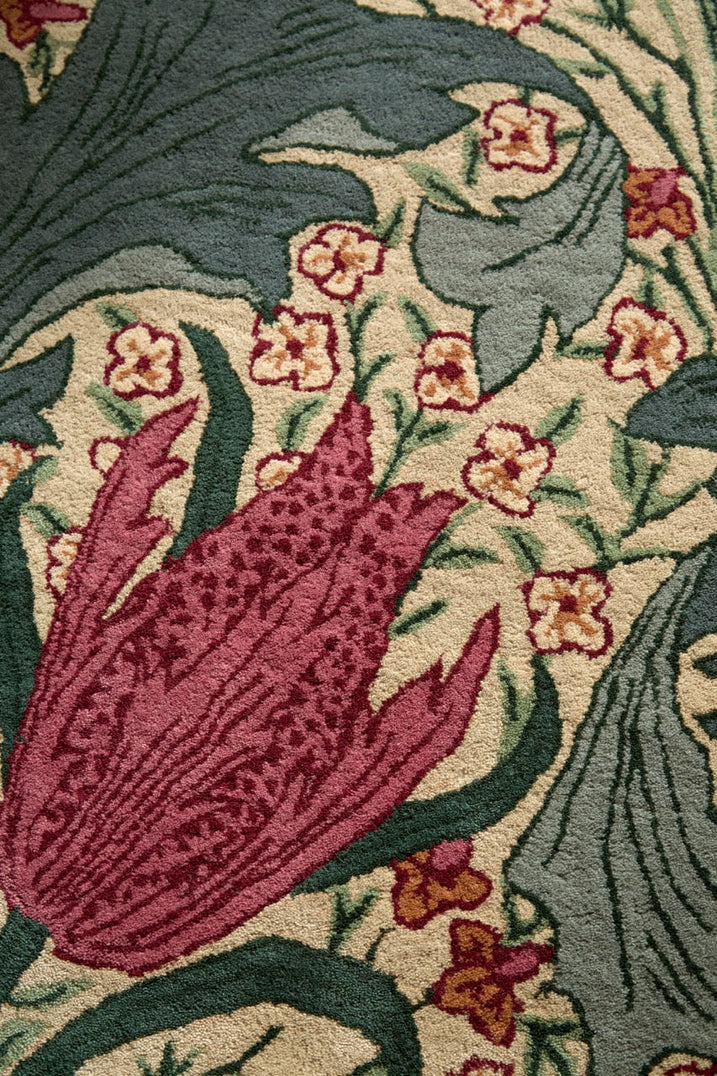 Morris & Co Lent Lily Plum Bayleaf Teppich in Creme mit pflaumenfarbenen Tulpen und lorbeergrünen Blättern, im Wohnraum, dritte Ansicht