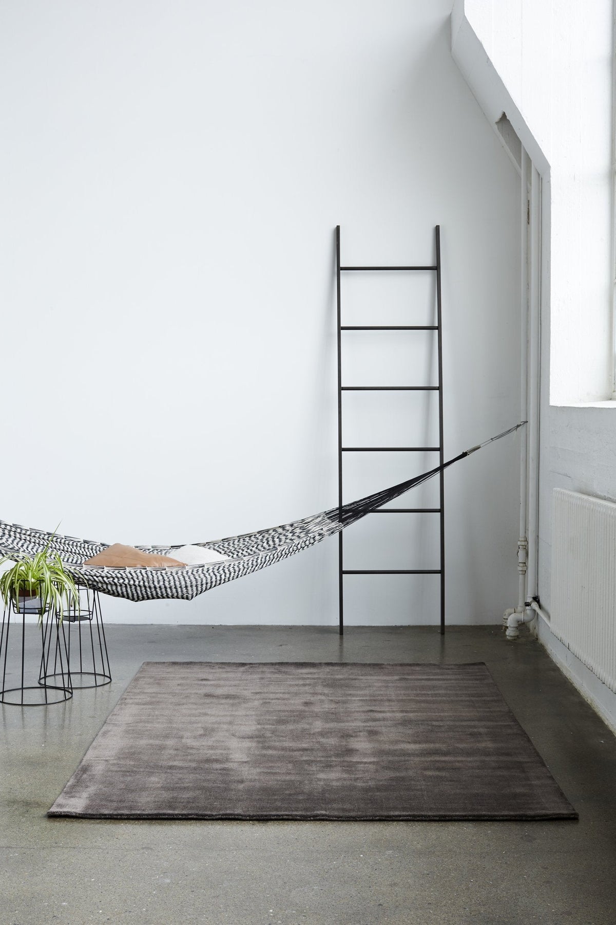 Massimo Earth Bamboo Warm Grey Wollteppich, in einem Wohnraum